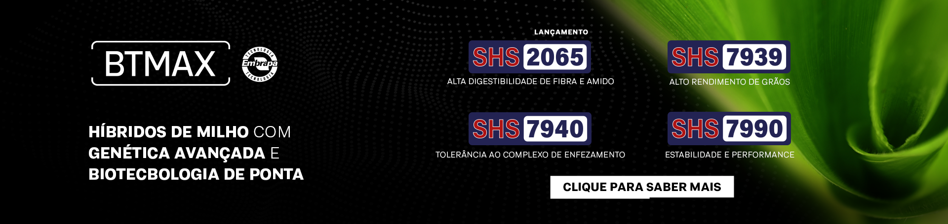 Banner - BTMAX - Portfólio