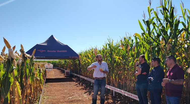 Santa Helena Sementes apresenta híbridos de milho em evento promovido pela parceira Agrofértil