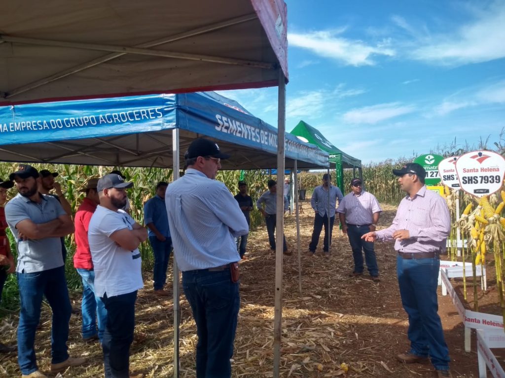 Santa Helena Sementes participa de dia de Campo de Milho Safrinha em Sete Quedas/MS