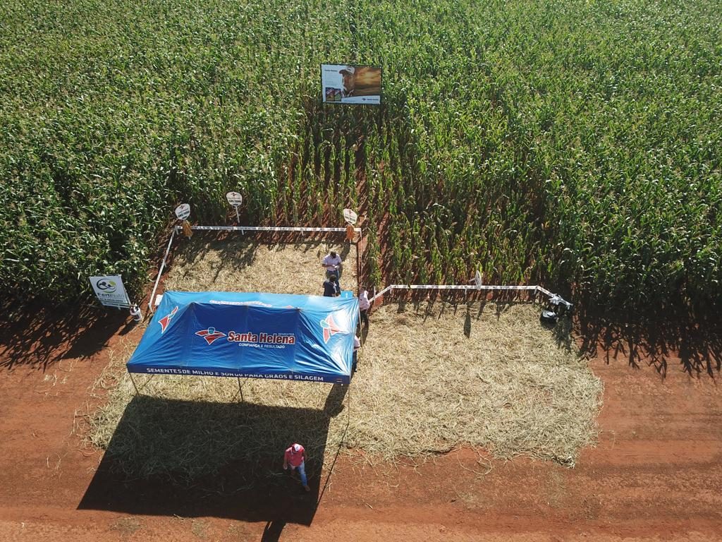 Santa Helena Sementes participa de dia de Campo em São Gabriel do Oeste/MS