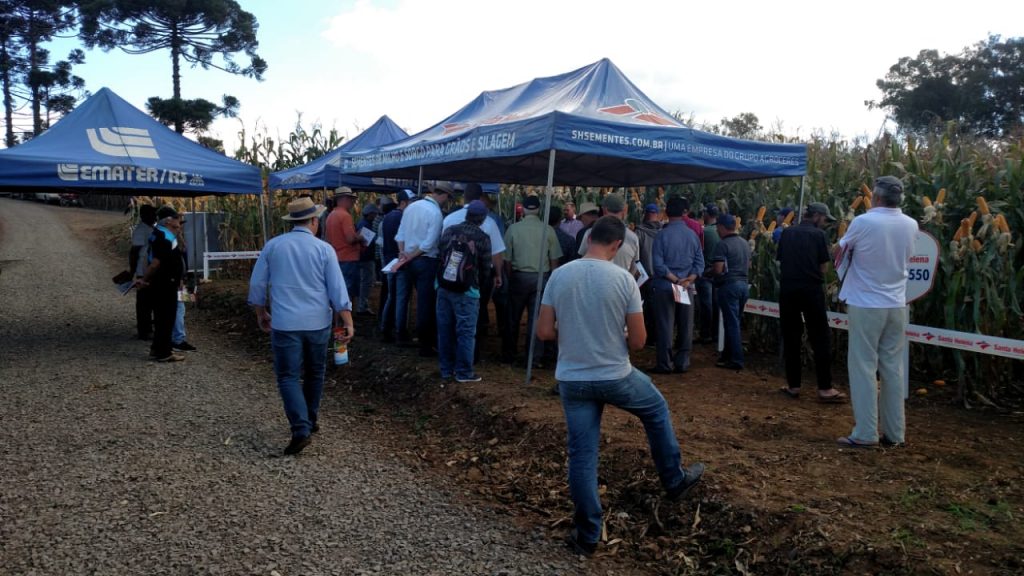 Santa Helena Sementes realiza dia de Campo em Dr. Ricardo/RS