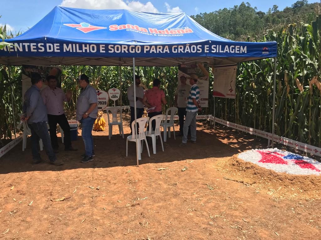 Santa Helena Sementes participa da Vitrine do Milo e Silagem da UFV em Viçosa/MG