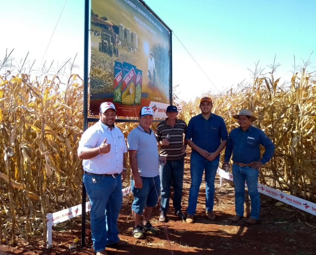 Dia no campo com clientes em Aral Moreira/MS