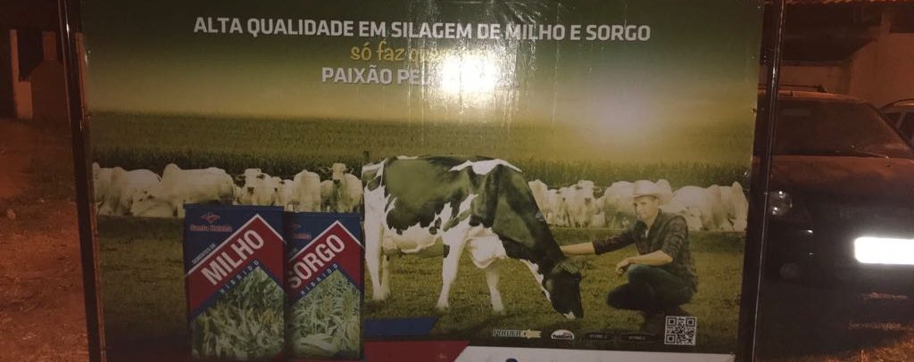 Evento em Perdizes (MG) reúne mais de 50 produtores