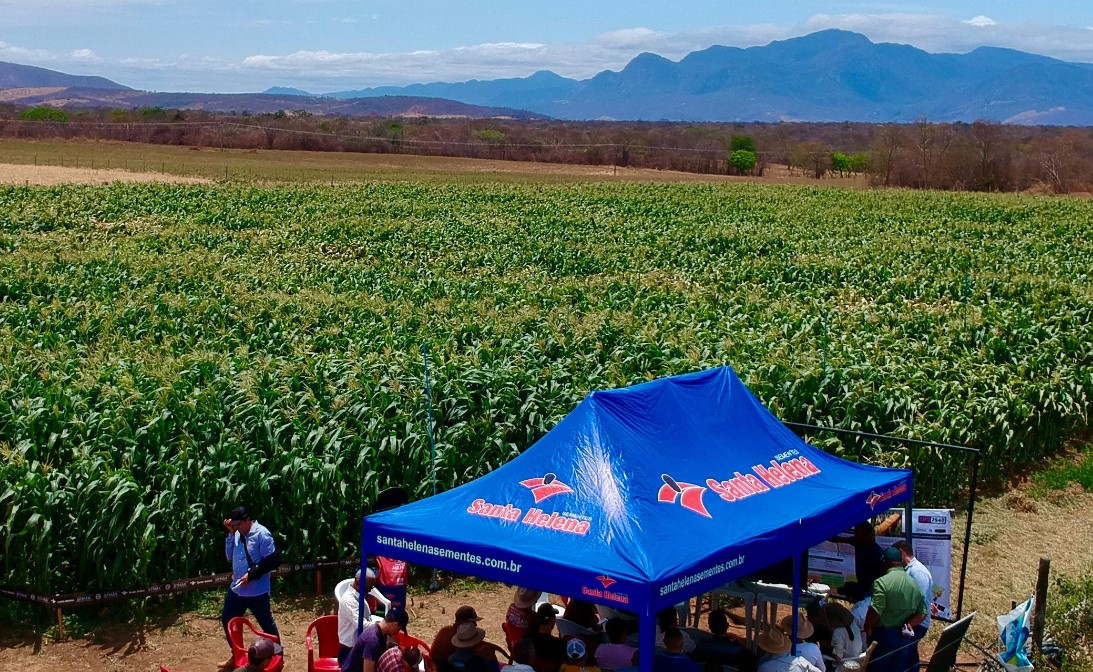 Santa Helena Sementes realiza evento em Monte Azul com foco na biotecnologia BTMAX