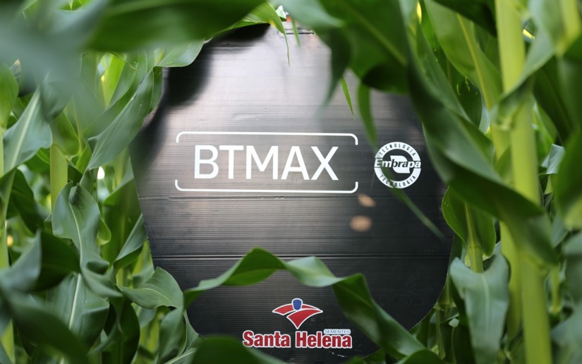 Lavoura comercial BTMAX da Santa Helena Sementes demonstra alto potencial produtivo na Fazenda Buritis