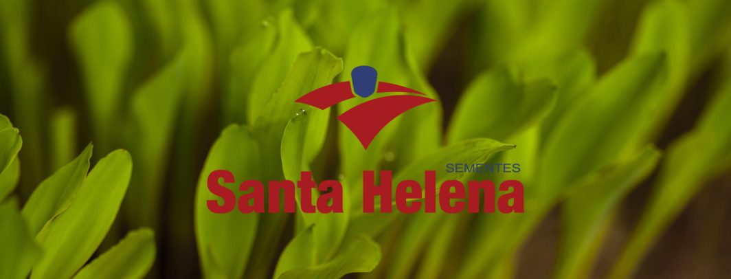 Santa Helena Sementes amplia investimentos em pesquisa