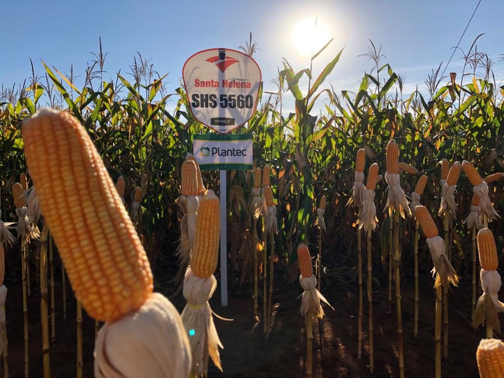 Santa Helena Sementes participa do 2º dia de Campo na Fazenda Formoso em Caiapônia/GO